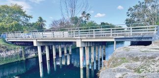 An Ode to Old Cutler Road An Ode to Old Cutler Road