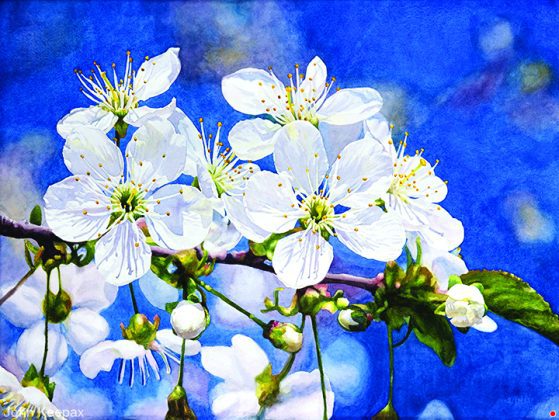 John Keepax earns ‘Best in Show’ at Coconut Grove Arts Festival