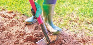 April is Safe Digging Month: Know Florida’s ground rules April is Safe Digging Month: Know Florida’s ground rules