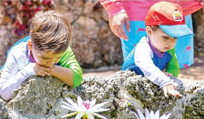 Pinecrest Gardens is blooming with exciting experiences