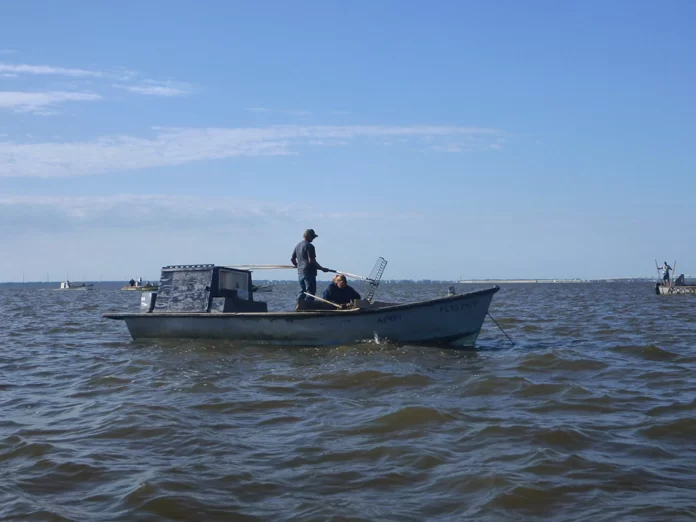 wlrn-boat