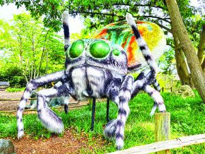 Fairchild presenting ‘Bugging Out: A Bugs World but Bigger!’