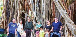 Jazz at the Gardens: the best local and national performers Jazz at the Gardens: the best local and national performers