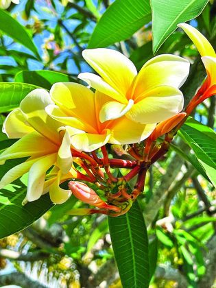 Where It Began, I Can’t Begin to Know When