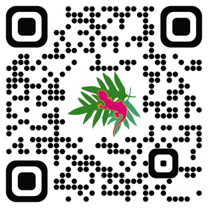 Pinecrest Gardens hosts the 2025/2026 Tropical Nights