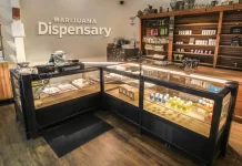NORML Op-Ed: Take Marijuana Off the Streets and Put It Behind the Counter