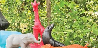 STEM, STEAM, STREAM: What does it have to do with a zoo? STEM, STEAM, STREAM: What does it have to do with a zoo?