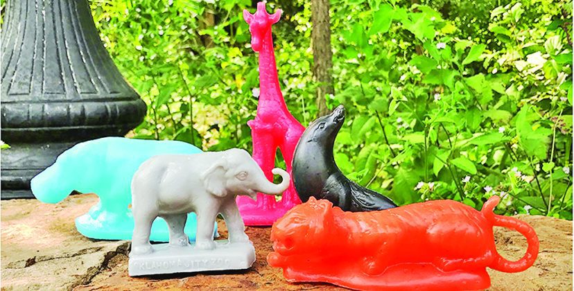 STEM, STEAM, STREAM: What does it have to do with a zoo?