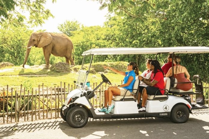 Zoo Miami free mobile app enhances guest experience