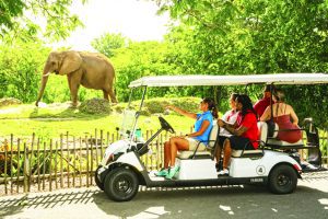 Zoo Miami free mobile app enhances guest experience