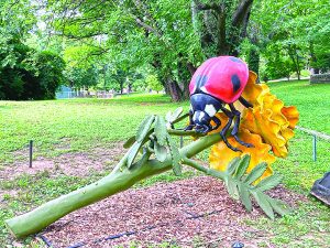 Fairchild Tropical Botanic Garden presents ‘Bugging Out’ exhibition with after-dark programming
