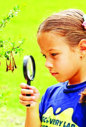 Pinecrest Gardens fall season kicks off with fine arts and education programs