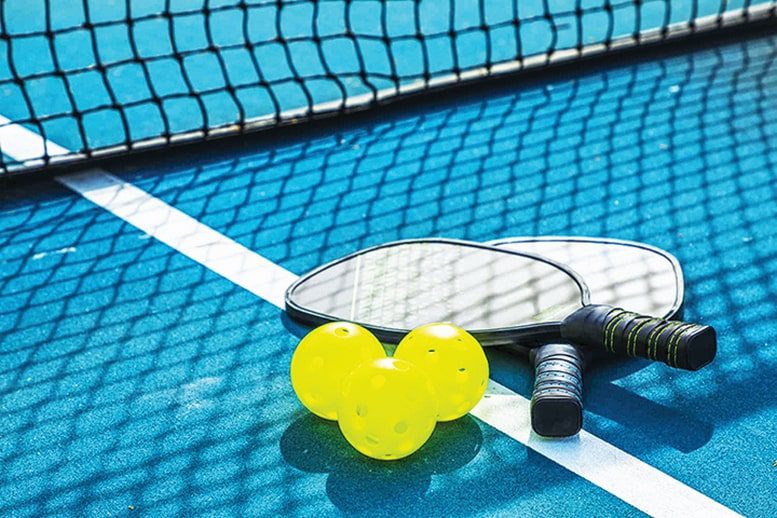 Village council approves indoor pickleball courts
