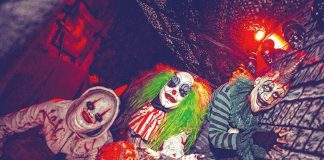 The Horrorland: Nights of terror have returned to Jungle Island Monsters are always closer than you think.