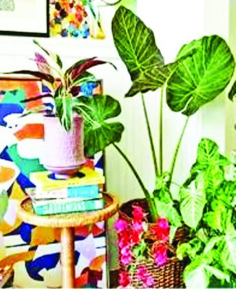 Christ the King Upscale Rummage Sale is Nov. 8th