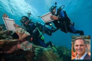 Tech, Capital, and Playa: Turning Conservation into an Innovation Economy in South Florida – Miami’s Community News