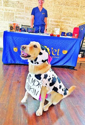 Non-Profits’ Halloween events put the fun in Fundraising