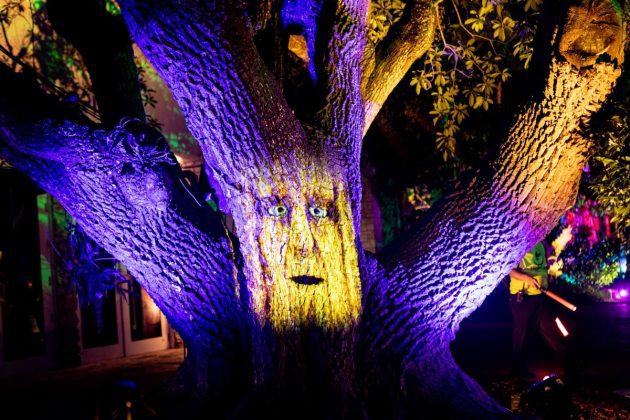 NightGarden at Fairchild Garden lights up Miami&rsquo;s winter season