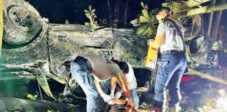 MDFR units respond to vehicle rollover MDFR units respond to vehicle rollover