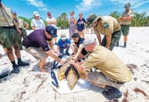 Turning conservation into an innovation economy Turning conservation into an innovation economy