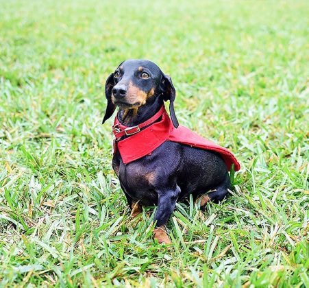 This Pinecrest Family Turned Heartbreak Into a Life-Saving Mission