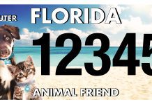 PURRR Adoption + Sanctuary Awarded $25,000 Grant from Florida Animal Friend