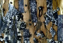 Ten North Group Presents: 13th Annual Art of Transformation 2025 At the Edge of Entanglement