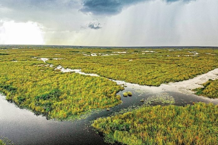From vision to reality: Marking 25 years of Everglades restoration