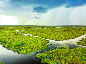 From vision to reality: Marking 25 years of Everglades restoration