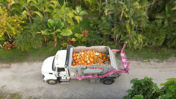 Pinecrest students transform pumpkins into compost at inaugural event