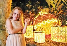 Pinecrest Gardens turns into after-dark holiday experience Pinecrest Gardens turns into after-dark holiday experience