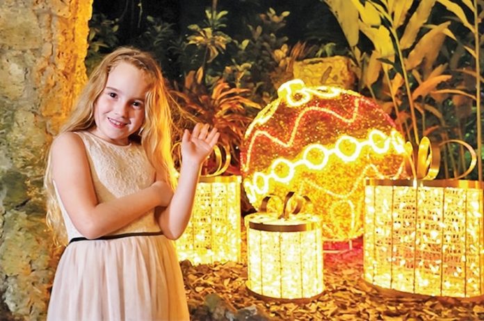 Pinecrest Gardens turns into after-dark holiday experience Pinecrest Gardens turns into after-dark holiday experience