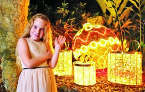 Pinecrest Gardens turns into after-dark holiday experience