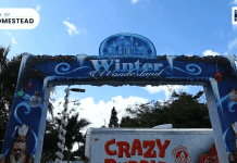 Step Into the Magic: Grant Miller here at Homestead’s Dazzling Winter Wonderland