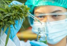 Analysis: NIH Database Now Includes Over 53,000 Cannabis-Related Studies