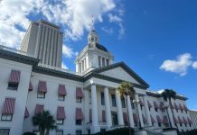 Here are five Florida laws going into effect on New Year’s Day