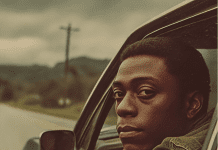 From TikTok to AI Art: Algorithms are splintering pop culture, changing how we connect and create