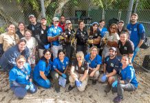 AFRICAN PAINTED DOG PUPPIES AT ZOO MIAMI!