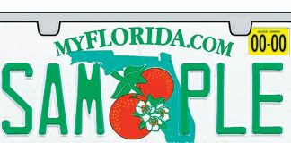 Tax Collector clarifies Florida low on license plate frames Tax Collector clarifies Florida low on license plate frames