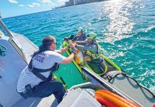 Miami-Dade Fire Rescue rescues, releases pelican