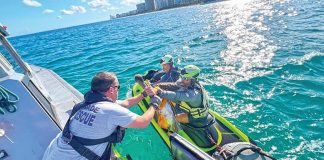 Miami-Dade Fire Rescue rescues, releases pelican
