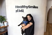Pet Dental Care is Essential