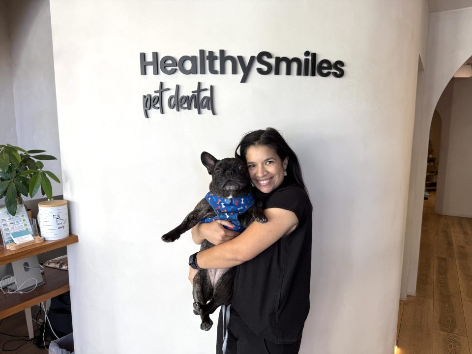 Pet Dental Care is Essential