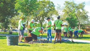 Million Trees Miami-Dade grows with grant from TD Tree Days