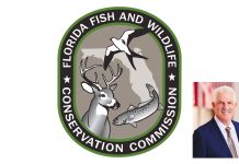 FWC Announces 2025 Achievements in Conservation