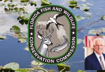 FWC Announces 2025 Achievements in Conservation