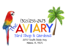 From South Florida and Beyond, Bird Owners Feel at Home at The Aviary Bird Shop