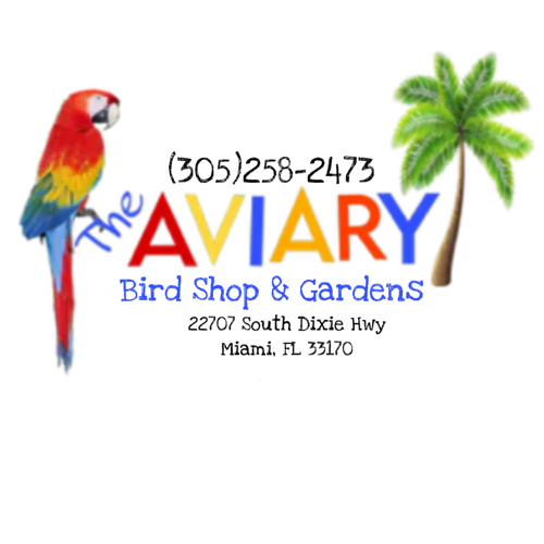 From South Florida and Beyond, Bird Owners Feel at Home at The Aviary Bird Shop