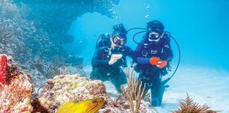 Students for Coral Preservation organizes BleachWatch event with help of Diver’s Paradise Students for Coral Preservation organizes BleachWatch event with help of Diver’s Paradise