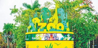Kaseya gift funding upgrade to zoo’s LED entrance screen Kaseya gift funding upgrade to zoo’s LED entrance screen